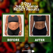 3 Day Juicing Program